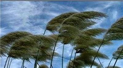 هشدار وزش باد شدید به کشاورزان و مرغداران