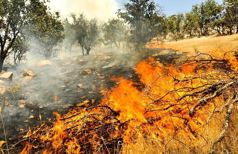 آتش‌سوزی شدید در جنگل‌های مارگون