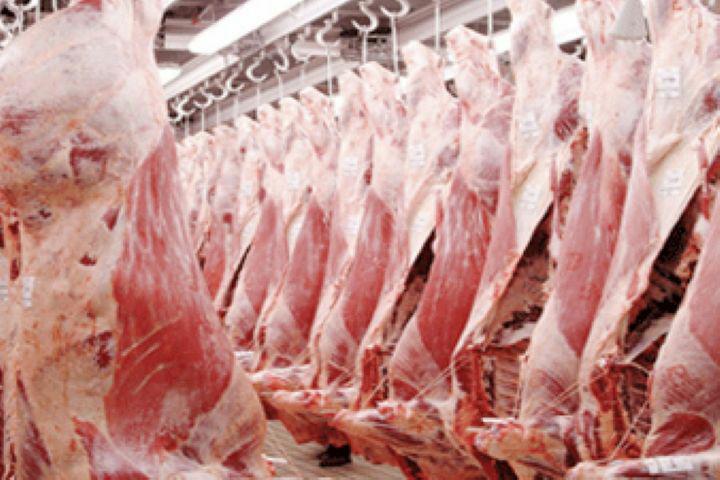 قیمت گوشت افزایش یافت