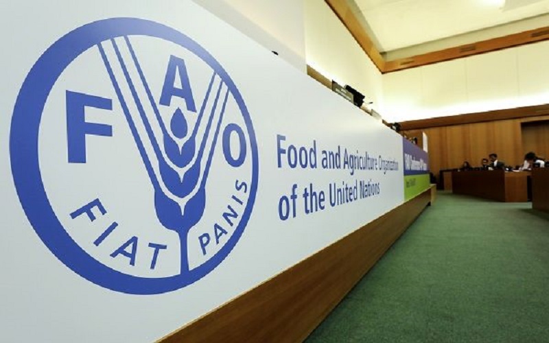 کاهش قیمت جهانی مواد غذایی برای سومین ماه متوالی