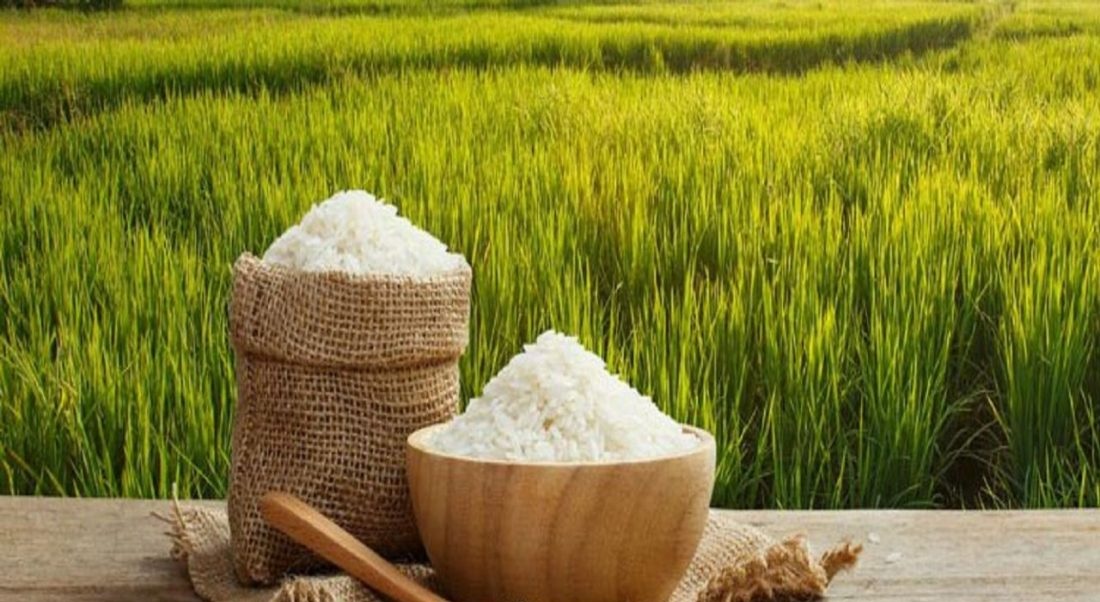 واردات ۶ ماهه امسال برنج ۷۱۵ هزار تن است
