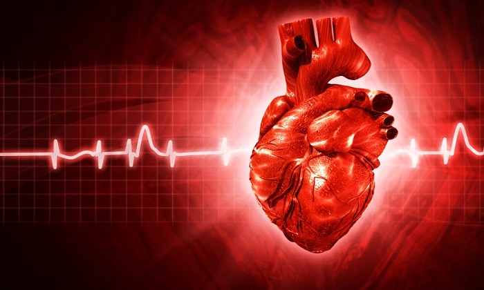 14عامل خطرآفرین برای بیماری قلبی!