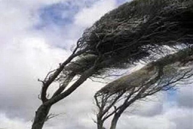 هشدار سطح زرد درباره وزش باد در شرق و جنوب شرق کشور