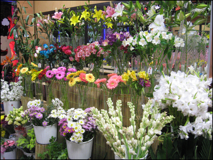 افزایش 70درصدی قیمت گل رز در آستانه روز مادر/ گل‌های کم عمر سردخانه‌ای در راه بازار