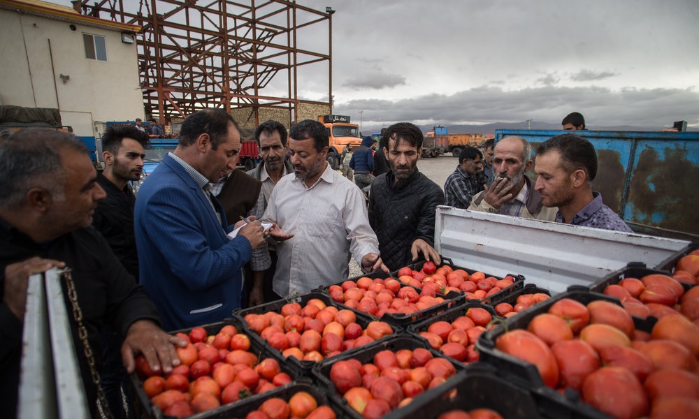 مجوز صادرات 15درصد گوجه فرنگی بزودی ابلاغ می‌شود