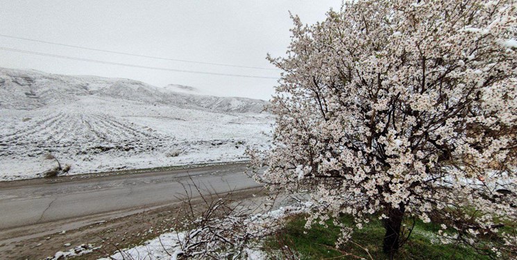 بارش برف بهاری در استان مرکزی + فیلم