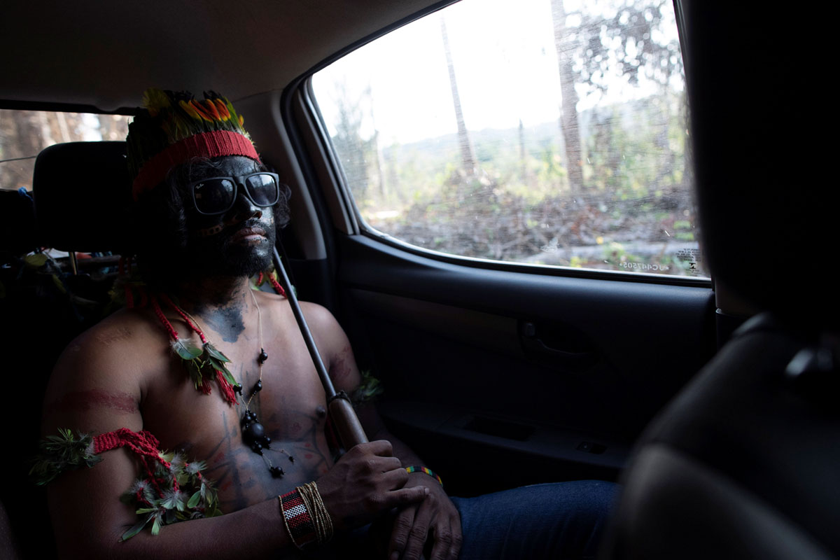 جنگجویان آمازون به روایت تصویر 