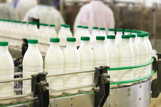 واردات بی‌رویه شیرخشک در کارخانجات لبنی را تخته می‌کند