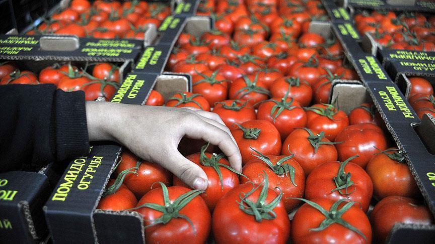 صادرات گوجه فرنگی ترکیه به 57کشور جهان