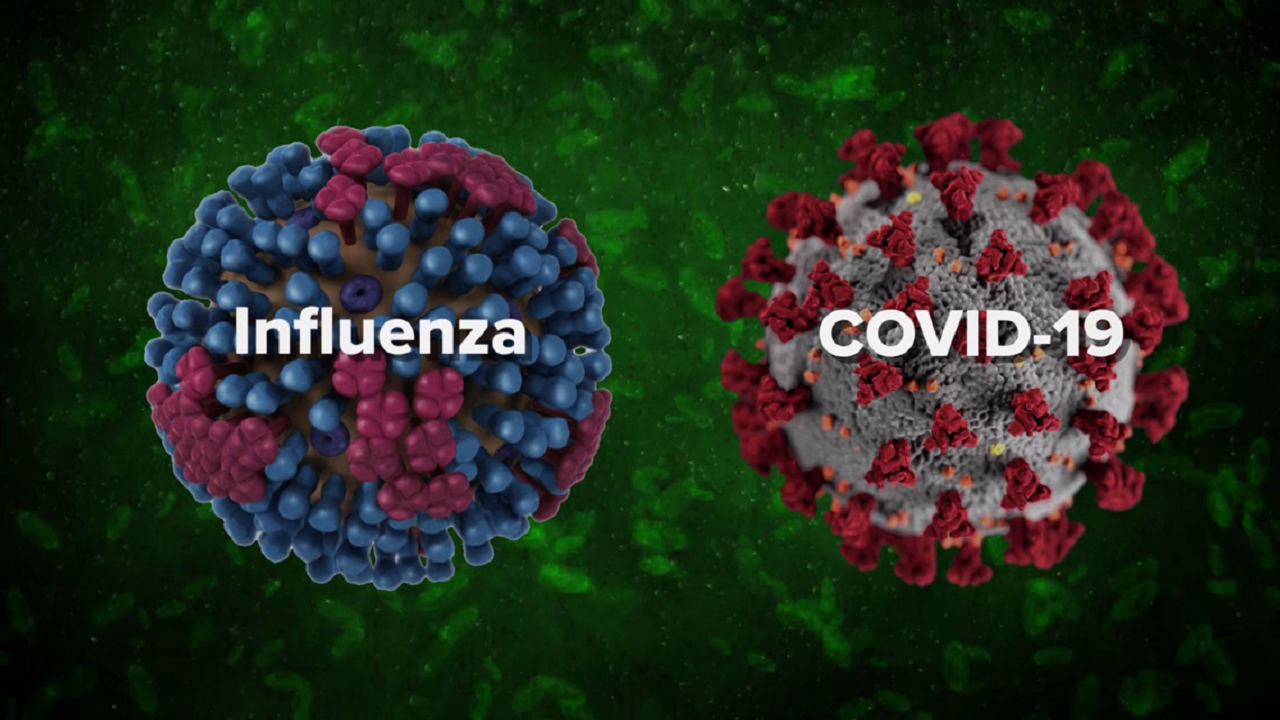 موارد پراکنده آنفلوآنزا A در کشور