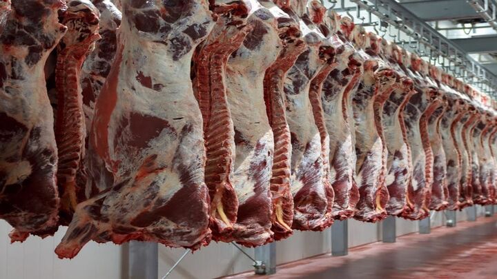 قیمت روز گوشت قرمز / آبگوشتی گوسفند کیلویی چند؟ + جدول