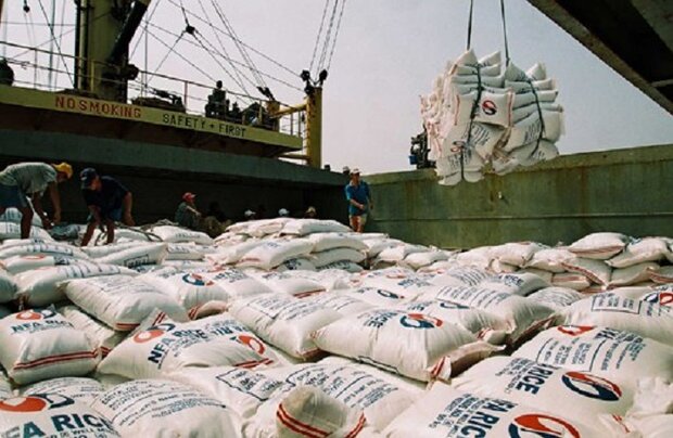 توزیع برنج وارداتی، بازار را به ثبات می‌ رساند