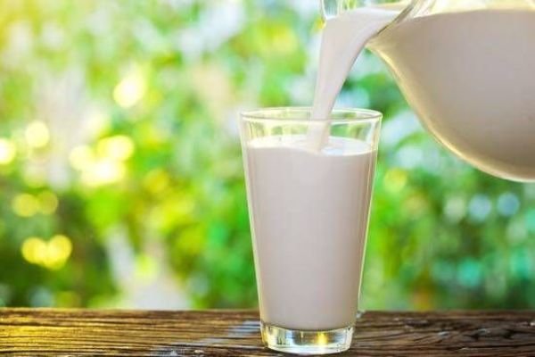 سرانه مصرف شیر در کشور ٣ لیوان در هفته برآورد شده است