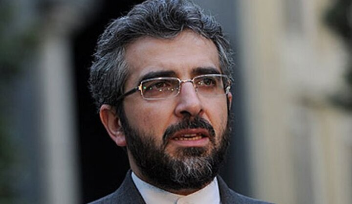 علی باقری: دولت، تضییع حقوق ایرانیان در هیچ نقطه از جهان را برنمی‌تابد