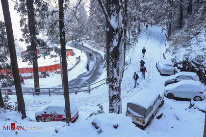 بارش اولین برف زمستانی در هندوستان +عکس