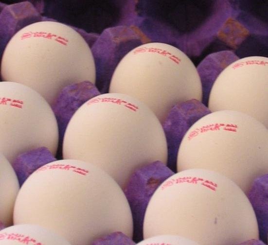 راهی برای گریز از رکود تخم‌مرغ