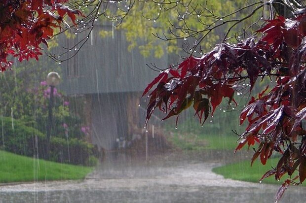 آب باران در هیچ کجای جهان آشامیدنی نیست