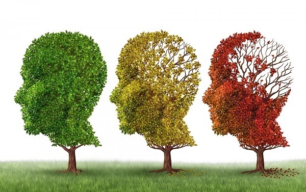 شدت بیماری آلزایمر با تغییر فصل ارتباط دارد