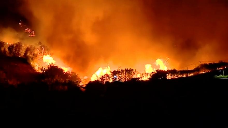 آتش‌سوزی در جنگل‌های جزایر قناری +فیلم