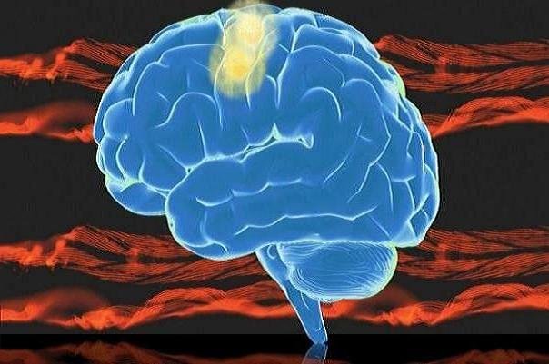 مغز انسان به تولید فروکتوز کمک می‌کند