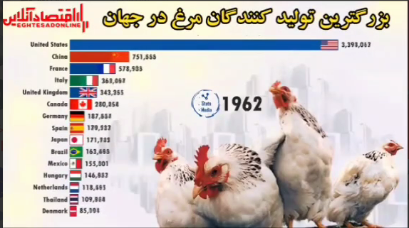 بزرگترین تولیدکنندگان مرغ در جهان از ۲۰۲۰-۱۹۶۱ +فیلم