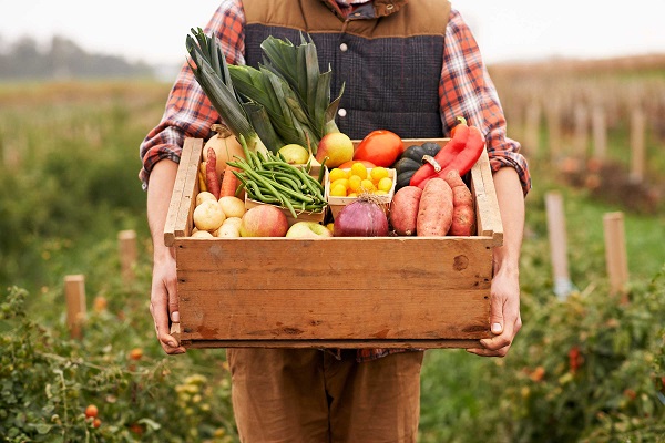 تاثیر میوه‌ها و سبزیجات در پیشگیری از سرطان روده