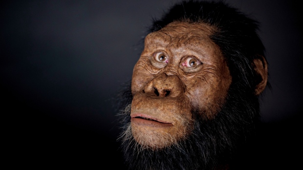 کشف جد 3.8میلیون ساله انسان +عکس