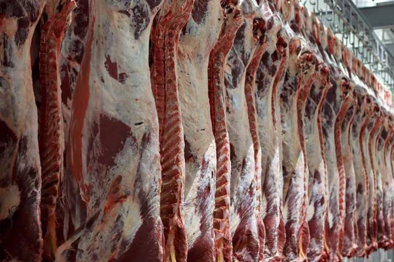 واردات گوشت برزیلی ادامه دارد