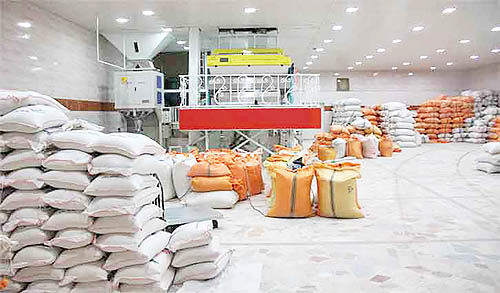 افزایش ۳۷درصدی قیمت برنج در یک سال