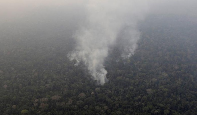 آتش‌سوزی ادامه دار در جنگل‌های  آمازون +فیلم