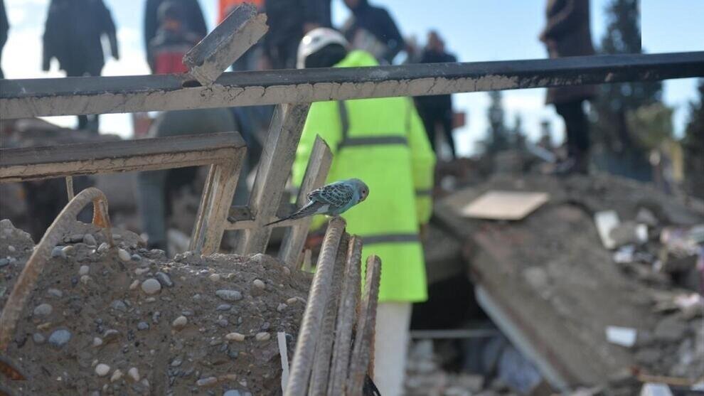 حادثه دردناک برای امدادرسانان به زلزله ‎زدگان ترکیه + فیلم