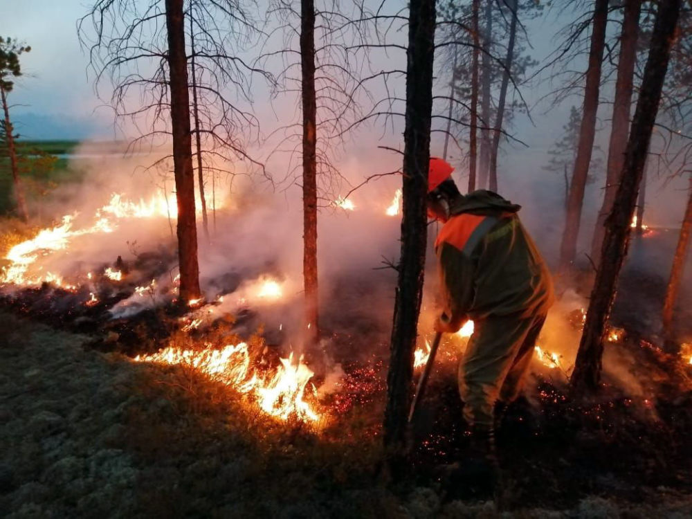 مبارزه روسیه با آتش‌سوزی در سیبری +فیلم