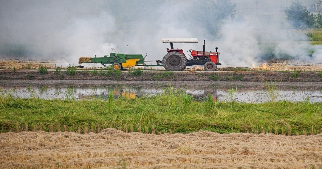 کشاورزان از برنامه سازگاری با کم آبی غافل نشوند