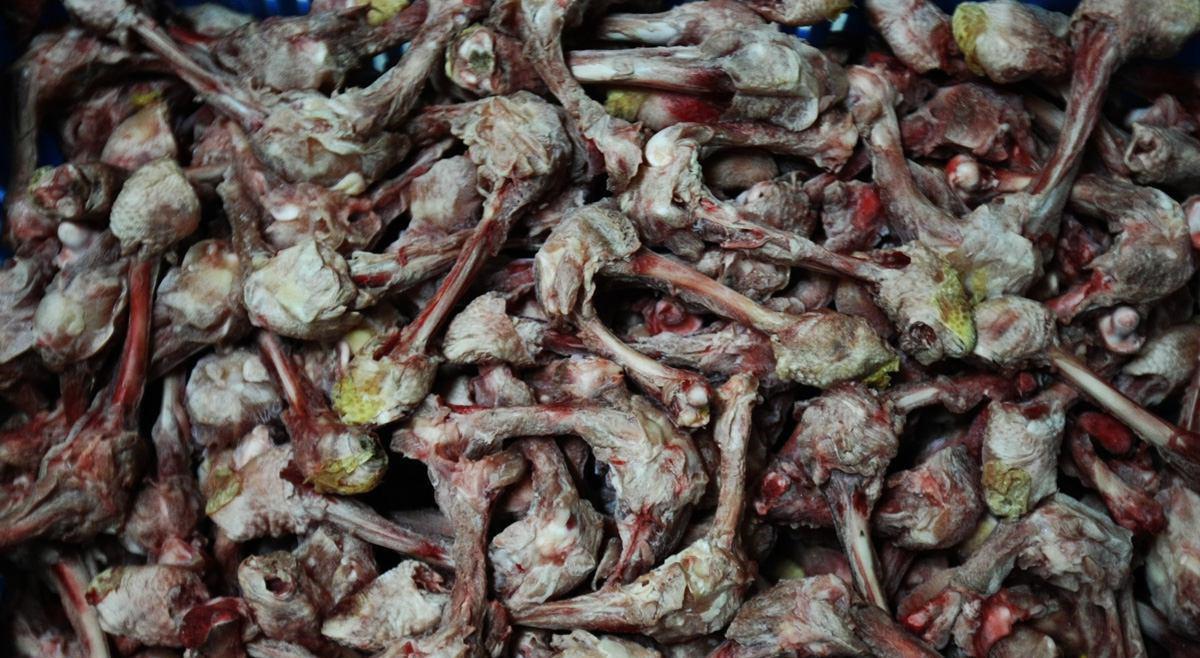 گوشت فاسد در رستوران معروف پایتخت