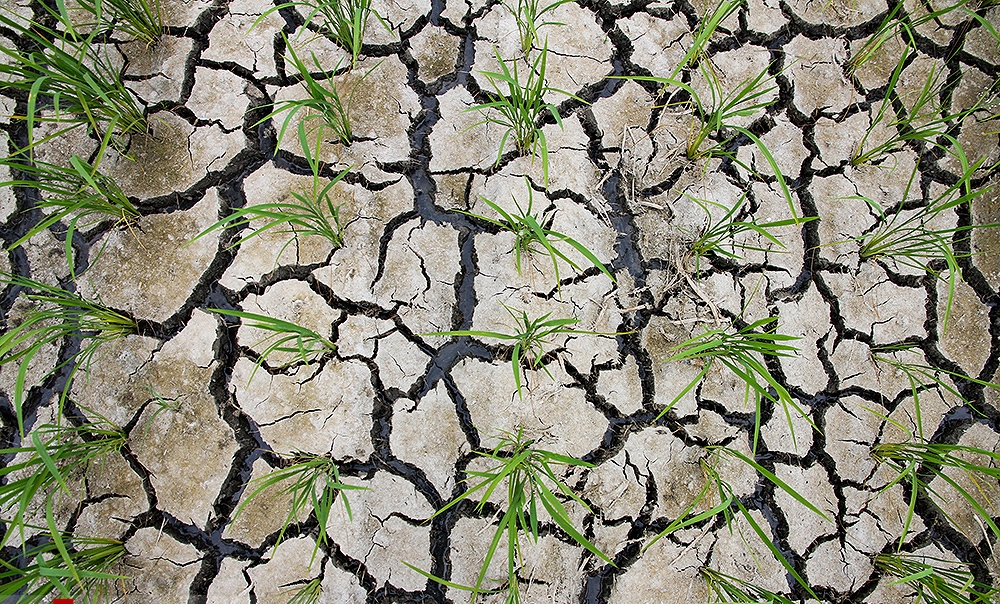 4استان رکورد خشکسالی را زدند