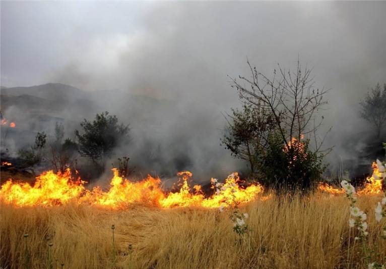 آتش‌سوزی جنگل‌ها و مراتع 60درصد کاهش یافت