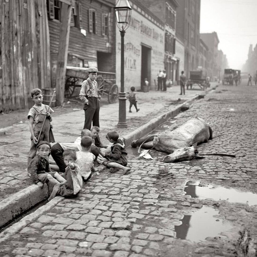 ۱۱۹سال قبل، خیابانی در نیویورک +عکس