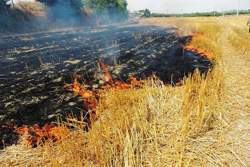 خسارت آتش‌سوی به ۳۰۰هکتار از مراتع آذربایجان‌غربی
