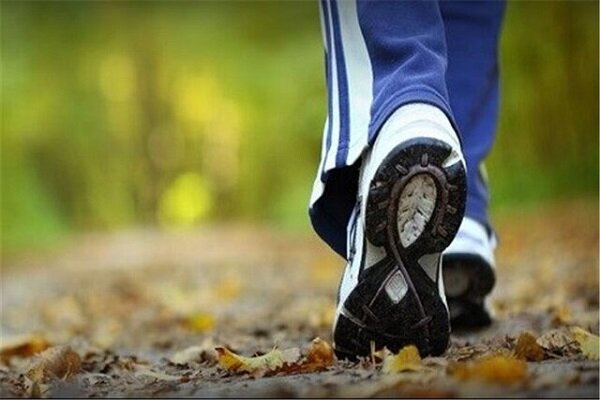 تاثیر پیاده روی روزانه در پیشگیری از آلزایمر 