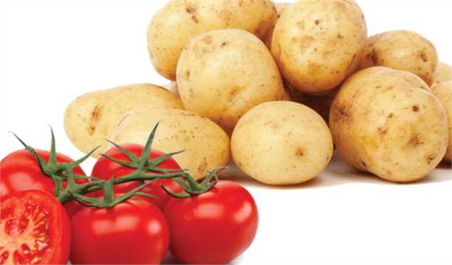 صادرات سیب‌زمینی و رب گوجه‌فرنگی ممنوع شد