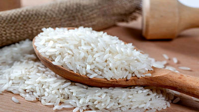 آخرین قیمت برنج / ۱۰ کیلو برنج ایرانی ۱ میلیون و ۷۴۰ هزار تومان!