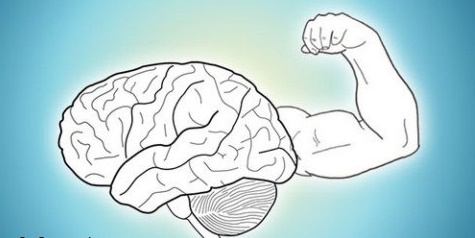 عضلات قوی موجب تقویت حافظه می شوند