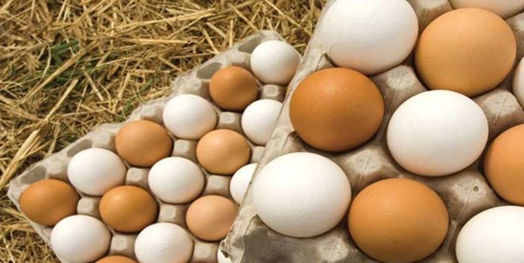 تعادل در بازار تخم مرغ به‌زودی