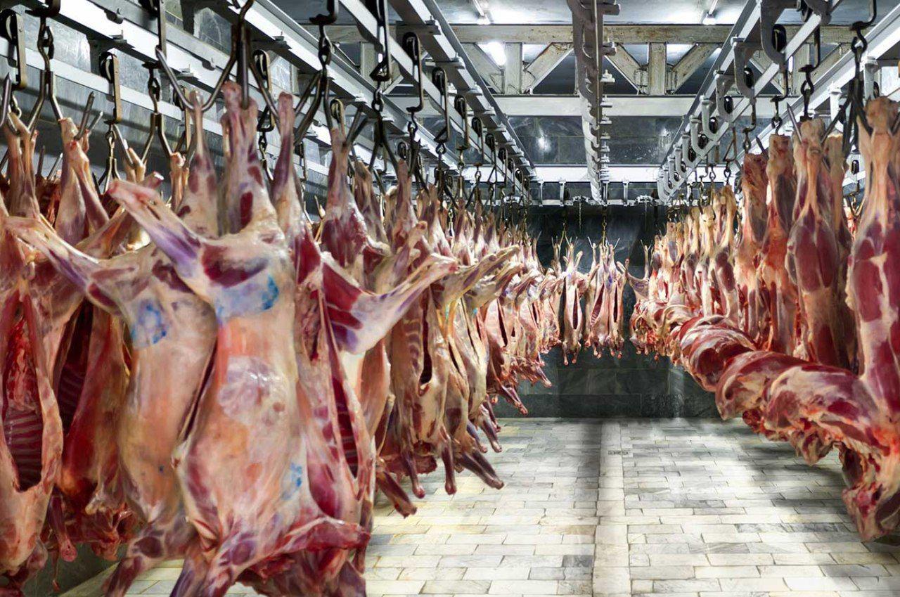 ایران از روس‌ها گوشت گوسفندی می‌خرد