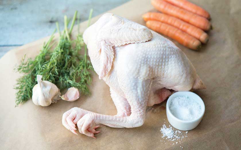 چرا مرغ آرین به تولید انبوه نرسید؟