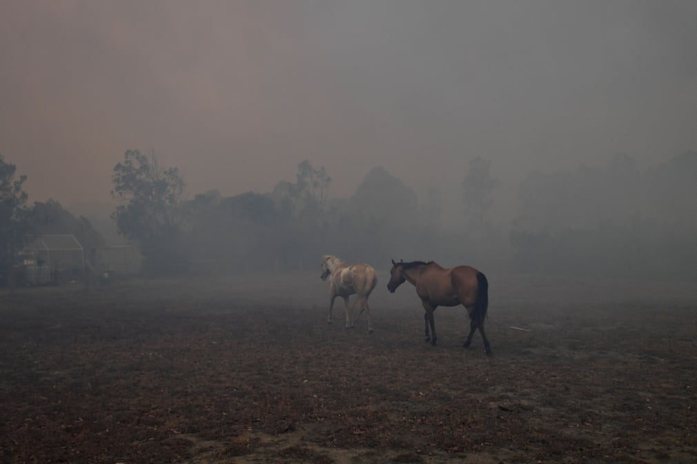 جدال باران و آتش در جنگل‌های استرالیا