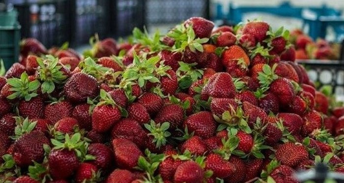 میوه‌های ضدکرونایی همچنان میدان‌دار بازار
