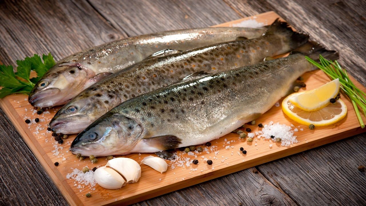 خطر حذف ماهی از سفره تعداد بیشتری از مردم / دلایل افزایش افسار گسیخته قیمت؟
