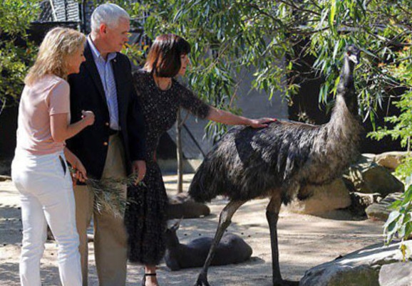 باغ‌وحش‌گردی معاون ترامپ در استرالیا +تصاویر