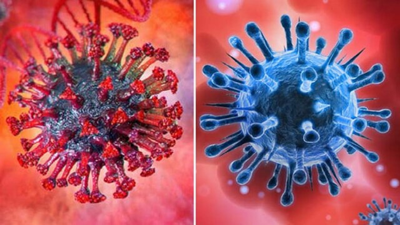 ویروس‌ های سرماخوردگی از شدت کرونا می‌ کاهد؟